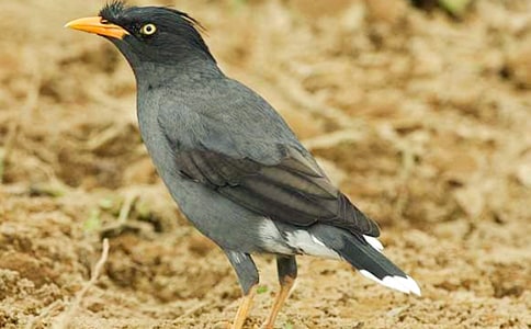 ������ѻ���ھӡ������[��ѡ15ƪ]