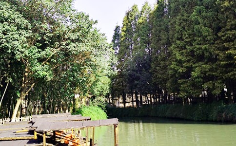 乌镇之旅作文通用【4篇】