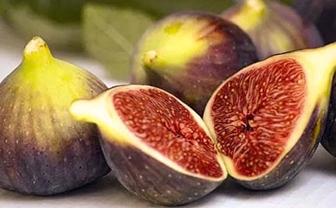 �޻���������15ƪ����ѡ��