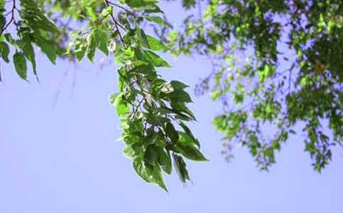 温馨午安文案90句