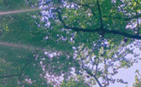 关于治愈午安句子(精选40句)