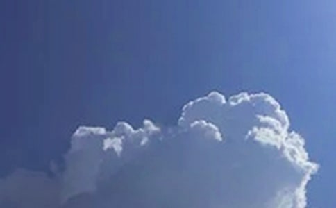 ���������簲�İ�����100��