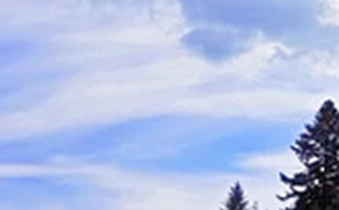 ���������簲���Ӵ�ȫ��ͨ��50�䣩