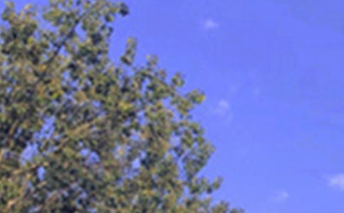 温馨午安句子(通用50句)