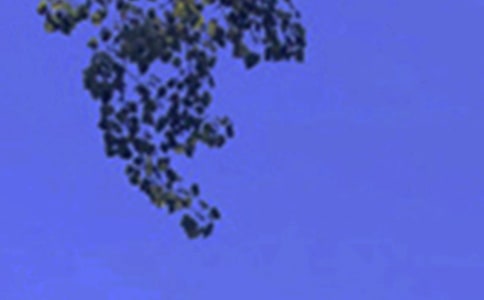 �����簲���ӻ���50��