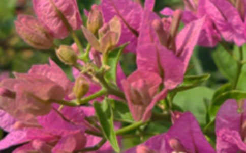 经典朋友圈午安句子(通用60句)