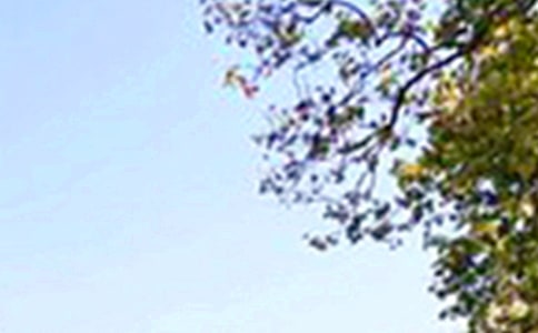 ���������簲����30�侫ѡ