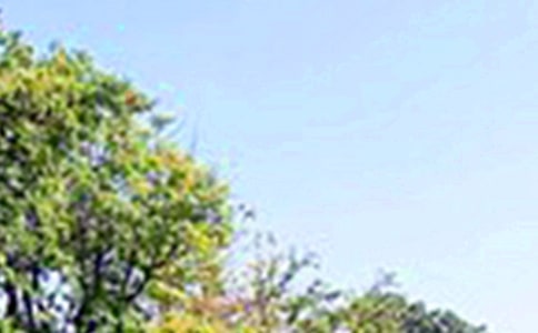 经典午安文案(通用80句)