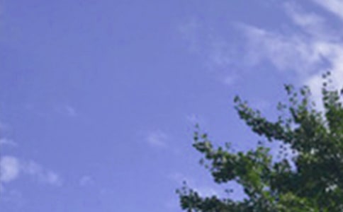 正能量午安文案(精选30句)