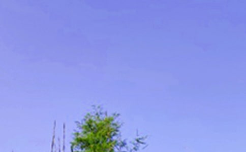 经典暖心午安文案大全60句