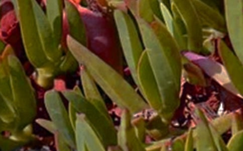 关于治愈午安句子大全(精选60句)