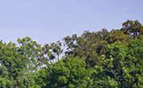 关于暖心午安句子30句