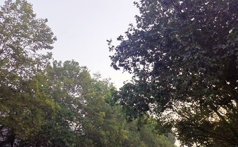 �����簲���Ӵ�ȫ��ͨ��60�䣩