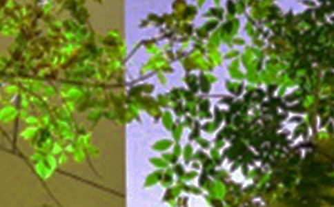 暖心午安文案(精选30句)