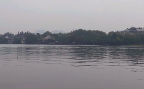 杭州的西湖作文