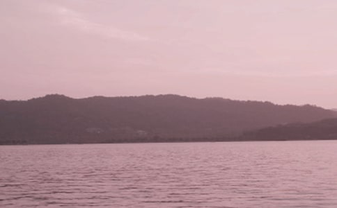 [����]��������������