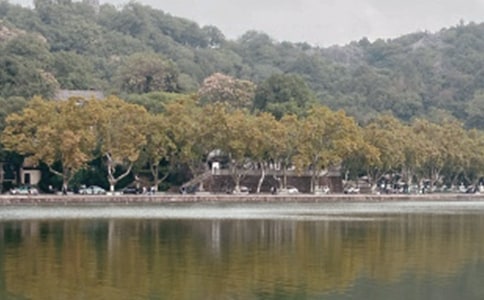 ������������������9ƪ