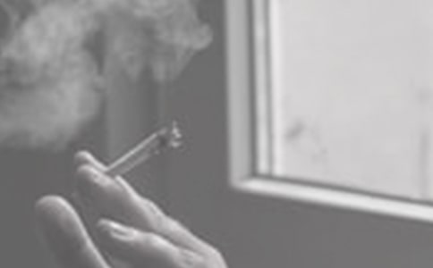 ��Ҫ��������