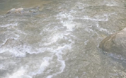 小溪流的旅行作文(7篇)