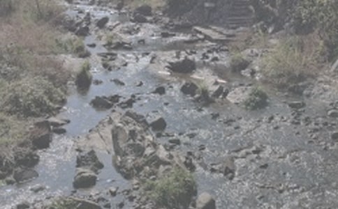 СϪ���ĸ�����