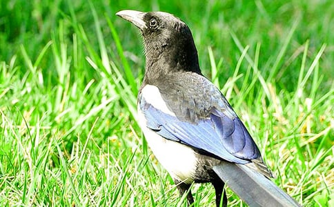 ���¡�����ϲȵ����ѧ��˼����