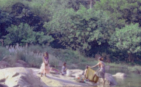 洗衣服作文优选(15篇)