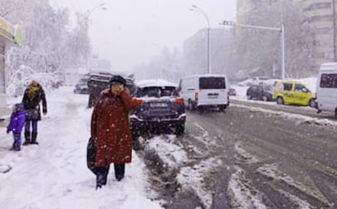 [����]��ѩ������15ƪ