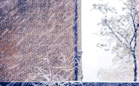 ��ѩ������(����)