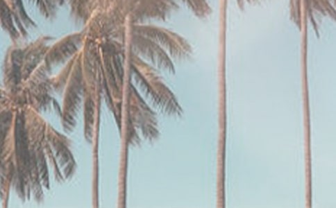 描写夏季的句子