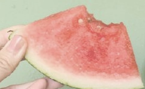 ���������ա������14ƪ