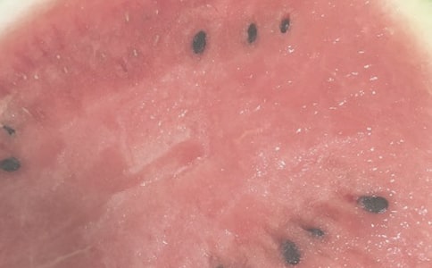 夏日即景作文15篇【精华】