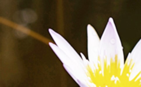 �����ľ���ʵ��15ƪ