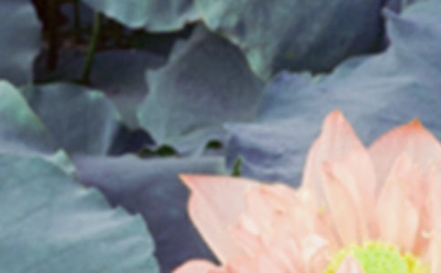 2022�������ľ���