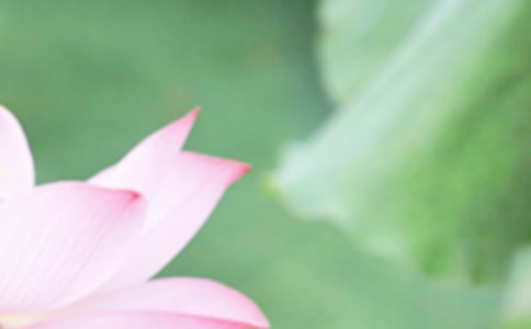 ���������İ�