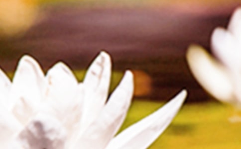 �����ľ���(��ѡ15ƪ)