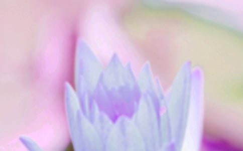 �����Ĵ����İ�