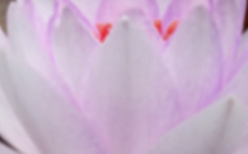 夏至未至作文(11篇)