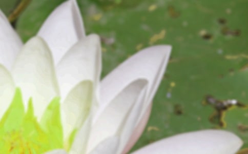 �������İ����ȡ�