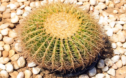 �Ҽҵ�����������(����19ƪ)