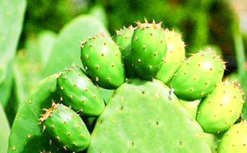 ����������(��Ʒ15ƪ)