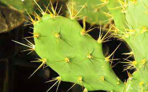 ����������(ͨ��)