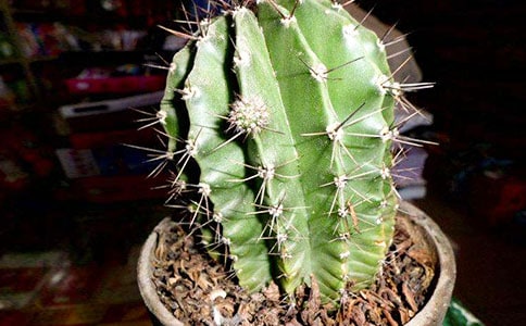 �����䡿����������