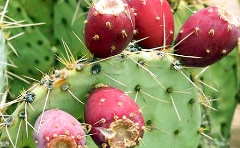 ����������������