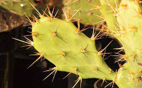 ����������ͨ��[15ƪ]