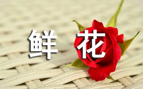 鲜花表深情作文