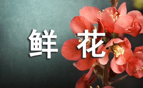 会变色的鲜花