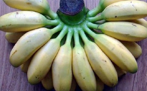 描写香蕉的作文