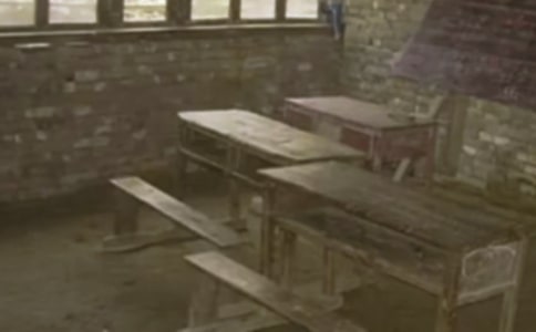 ���Сѧ����15ƪ