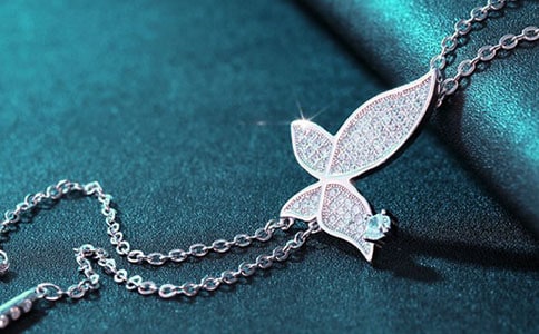 ���������Ķ����