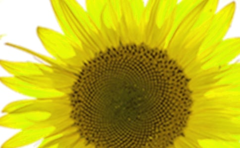 ���տ�����300��